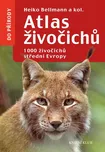 Atlas živočichů: 1000 živočichů střední…
