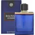 Pánský parfém Balmain Homme M EDT