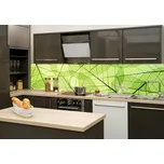 Dimex KI-260-048 Žilky listů 260 x 60 cm