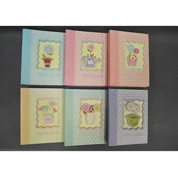 Fotoalbum Fotoalbum "PLASTIC"-100foto 10x15/6dr.