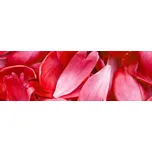 Dimex KI-180-056 Červené okvětní lístky…