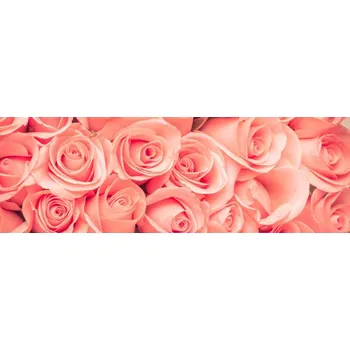 Fototapeta Dimex KI-180-052 Růže 180 x 60 cm