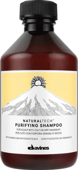 Šampon Davines Naturaltech Purifying šampon 250 ml