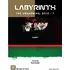Desková hra GMT Games Labyrinth: The Awakening, 2010 – ?