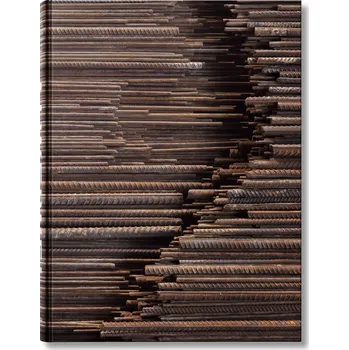 Umění Ai Weiwei - Ai Weiwei (EN)