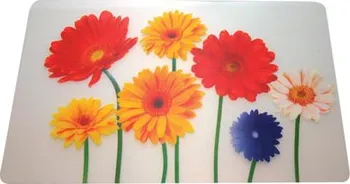 prostírání Toro Květiny plastové prostírání na stůl 43 x 28 cm
