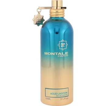 Unisex parfém Montale Paris Aoud Lagoon U EDP