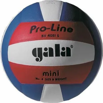 Volejbalový míč Gala Training Mini BV4051S
