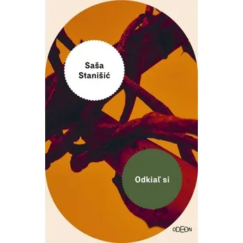 Kniha Odkiaľ si - Saša Stanišić