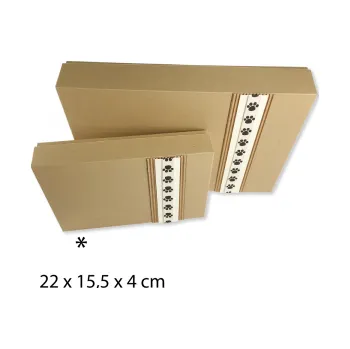 Dárková krabička Krabička Asta - 22 x 15,5 x 4