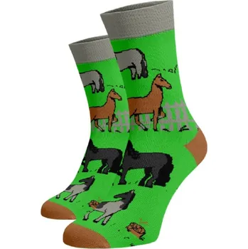 Dámské ponožky Veselé ponožky Kůň Zelená Bavlna 39-41