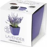 Domestico Vypěstuj si levanduli dárková…