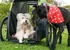 Přívěsný vozík pro psa Croozer Dog Jokke XL zelený