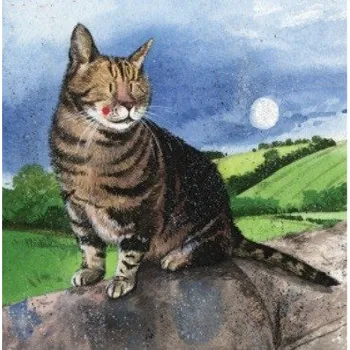 Přání v obálce Moon cat, ALEX CLARK, 14*14 cm (Přání s kočkou, kočka)