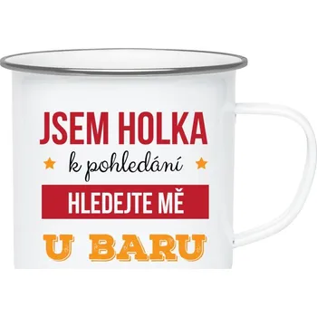Plecháček Jsem holka k pohledání, hledejte mě u baru