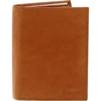 Peněženka Diviley | Pánská kožená peněženka Diviley Roger koňaková hnědá | allBAGS.cz