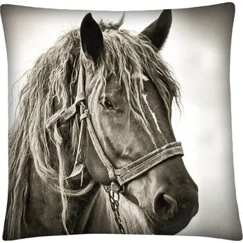 Polštář Polštář s motivem koně 18 Mybesthome 40x40 cm Varianta: Povlak na polštář, 40x40 cm