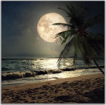 Obraz Malvis ® Obraz Pláž s palmou při měsíci Velikost: čtverec - 30x30 cm