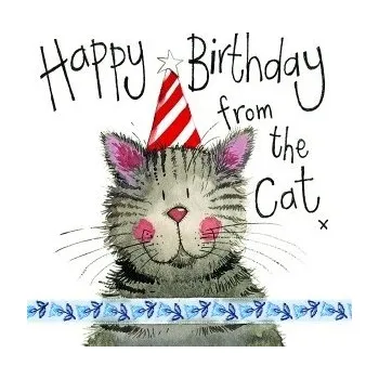 Přání v obálce Stripy Hat, ALEX CLARK 12*12 cm (Přání s kočkou, kočka)