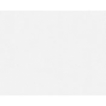 Tapeta A.S. Création | Přetíratelná vliesová tapeta na zeď Meistervlies 3068-14 | 1,06 x 25 m | bílá přetíratelná + Bílá, přetíratelná vliesová tapeta na stěnu 306814 v rozměru 1,06 x 25 m