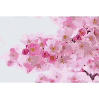 Malování podle čísel - Kvetoucí třešeň Velikost: 40x60cm, Rámování: Pouze srolované plátno