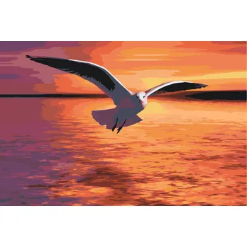 Malování podle čísel - Racek nad mořem Velikost: 40x60cm, Rámování: Pouze srolované plátno