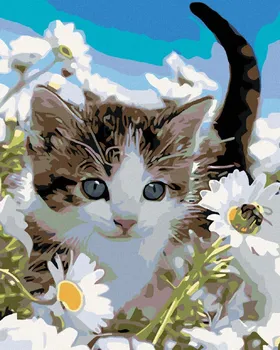 Zuty Malování podle čísel kotě v kopretinách 40 x 50 cm 
