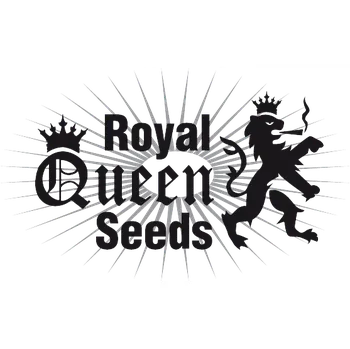 Semeno Royal Queen Seeds Candy Kush Express - Fast (Fast Version, feminizovaná semena Candy Kush Express fast)