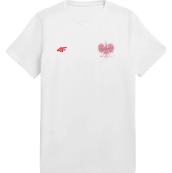 Pánské tričko Pánské tričko RL9 M R4L21-TSM950 - 4F XXL