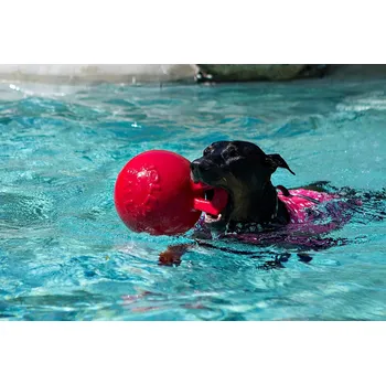 Hračka pro psa JOLLY PETS Míč TUG-N-TOSS, červený, 16 cm Velikost: S