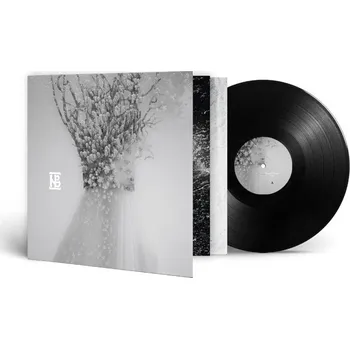 Zahraniční hudba Negura Bunget - Zau (LP, WOLF109LP)