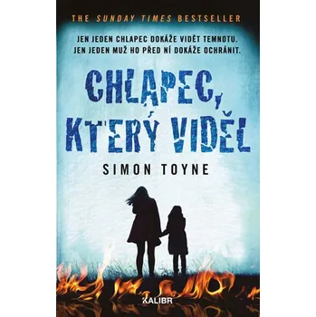 Beletrie pro dospělé Chlapec, který viděl - Simon Toyne