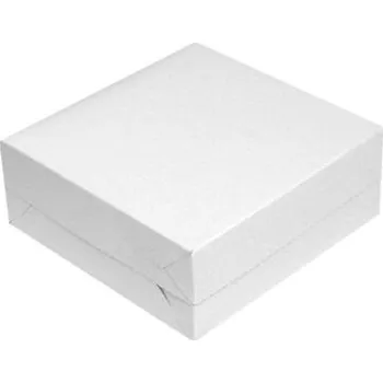 Jednorázové nádobí SAHM Krabice dortová 22x22x9cm - 50ks/bal 100002789