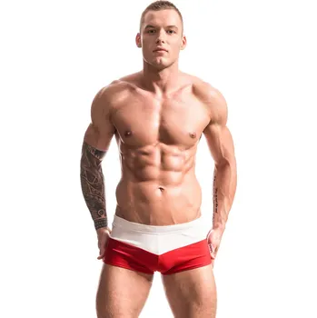 Dámské plavky Plavky model 146263 Alpha Male L