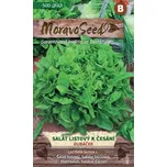Moravoseed Salát listový Dubáček 500 ks