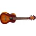 Ukulele Ortega Earth Rudawn