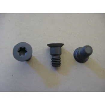 Šroub Upínací šroub destičky M5X11 T20