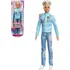 Panenka Barbie Princess Adventure princ