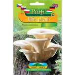 Nohel Garden Hlíva plicní sadba