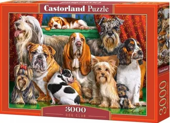 Puzzle Castorland Psí klub 3000 dílků