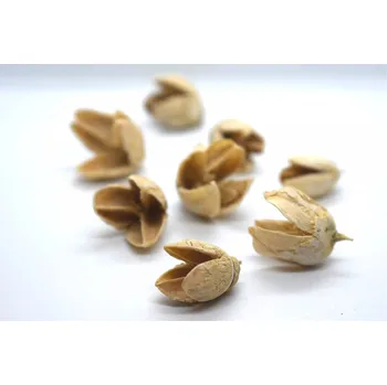 umělá květina Drydec.cz Bakuli loose bleached 8ks