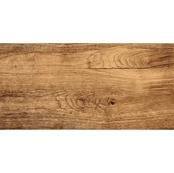 Dlažba Dlažba Foresta Bronzo 30/60