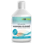 Hillvital Kolagen podpora kloubů 500 ml