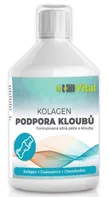 Hillvital Kolagen podpora kloubů 500 ml