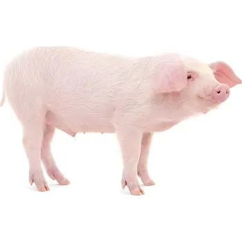 Krmivo pro hospodářské zvíře Afeedmix Kompletní krmivo pro výkrm prasat A1 25kg