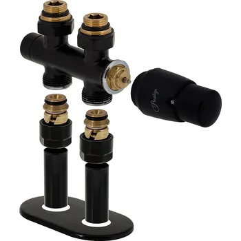 Instalatérský materiál Vario Term Kompletní sada přímého ventilu 344, středové připojení, 50 mm Barva: Černá, Svěrné spojky: 2x CU 15x1 mm