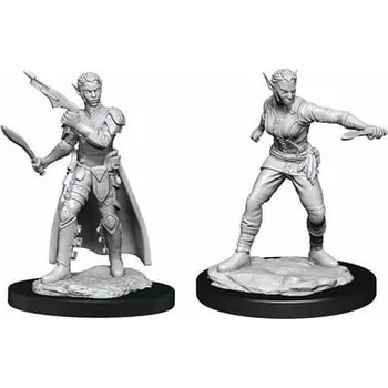 Desková hra WizKids Dungeons & Dragons Nolzur s Marvelous Miniatures - Shifter Rogue Female