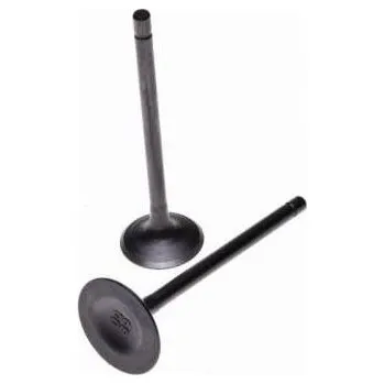 Motor pro motocykl Ventily výfukový a sací do motoru chlazeného vodou pitbike Loncin 200cc 4T zboží