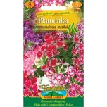 Nohel Garden Plaménka Drummondova nízká