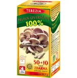 Terezia Company Hlíva ústřičná